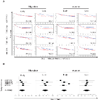 Figure 2:  Gene signatures from migratory and invasive breast cancer cells indicate reduced DMFS. 