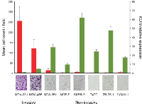 Figure 3:  KLF9  is downregulated in invasive cell lines. 