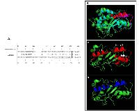 Figure 1: Sequence alignment of ACTIBIND and human RNASET2. 