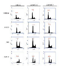 Figure 4:  shWWP2 increases PTEN and promotes G2/M arrest via the PI3K-AKT pathway. 