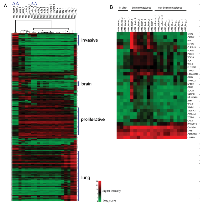 Figure 1: Signal  intensity heatmaps of  significant  gene  sets. 