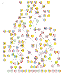 Figure 3:  Protein-protein interaction network  generated  from  genes  with  differential  expression  during metastatic growth in the brain. 