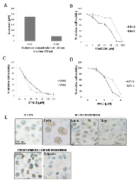 Figure 7:  Glutamate receptor signaling and  