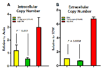 Figure 11:  Effect of cordycepin on EBV progeny production. 