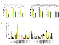 Figure 6:  Effect of cordycepin on signal transduction. 