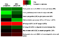 Figure 3:  Correlation coefficients comparing the fold change of microRNA expression between each stage in the OP  pathway and the GIIIA and GBM good and poor prognosis groups. 