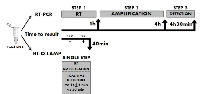 Figure  4:  Comparison  between  RT-PCR  and  RT-QLAMP  workflow. 