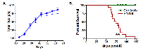 Figure 4:  Site-specific incidence and growth rate of H1299-luc2 metastases, and impact on survival.  