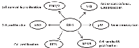 Figure 1: Summary of DJ-1 functions by regulating  redox sensitive transcription factors and signalling  pathways.