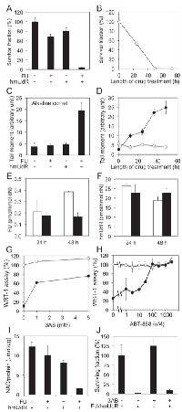 Figure 1: Properties of the synergistic toxicity by  FU and hmUdR. 