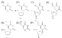 Figure 4:  Chemical structures of base/nucleoside analogs tested in this study. 
