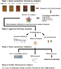 Figure 1: Workflow of the study. 