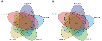 Figure 2:  The Venn diagrams depict the co-upregulated (A) and co-downregulated (B) genes in ccRCC vs. their non- tumor kidney tissue, among Oncomine datasets “Higgins Renal”, “Yusenko Renal”, “Lenburg Renal”,”Jones Renal”  and “Gumz Renal”.