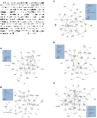Figure 5:  A) Hematological  system  development  and  function,  cell-to-cell  signaling  and  interaction,  reproductive  system  development  and  function  (score=35);  B)  Carbohydrate  metabolism,  cell  death,  endocrine  system  disorders  (score=33);  C)  Carbohydrate metabolism, small molecule biochemistry, cellular development (score=30); D) Molecular transport,  renal and urological disease, cellular function and maintenance (score=28) and E) Lipid metabolism, small molecule  biochemistry, molecular transport (score=26).