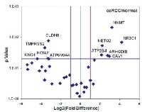 Figure  9:  The  Volcano-plot  depicts  the  DEGs  in  a  cohort of 10 ccRCC patient samples compared to the  adjacent normal kidney samples.