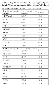 Table  3:  Top  10  up-  and  top  10  down-regulated  genes  in ccRCC versus the normal kidney tissue.  
