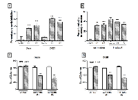 Figure 2:  Effect of miR-148a expression on growth, clonogenic potential and, anchorage independent growth of  medulloblastoma cell lines studied using stable polyclonal populations (P1, P2) of Daoy and D425 cells expressing  miR-148a on doxycycline induction. 