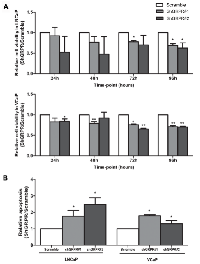 Figure 2:  Impact of GRPR  silencing in LNCaP and  VCaP cell lines in cell viability and apoptosis. 