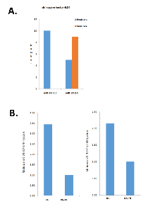 Figure 3:  Differential expression of miR-31 in  ovarian cancer tissues and cells A. 