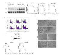 Figure 5:  A. 