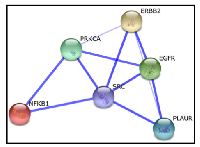 Figure 2: Protein functional interaction network for 