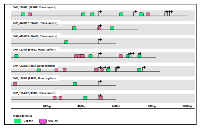 Figure 3:  Schematic representation of common transcriptional factor binding sites (indicated by matrix family) for 