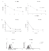 Figure 1: Sorafenib reduces the 5637 and T24 cell viability and induces apoptotic cell death. 