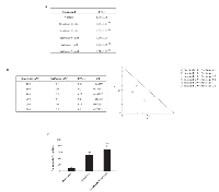 Figure 7:  Perifosine in combination with sorafenib increases the sensitivity of T24 BC cells to the sorafenib-induced  cytotoxicity. 