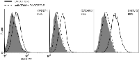 Figure 1: Blocking of the bioconjugate/receptor interaction by an anti-CD44 antibody. 