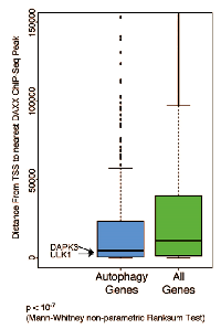 Figure 3:  Autophagy genes map closer to DAXX ChIP- Seq peaks than expected. 