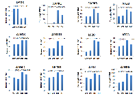 Figure 5:  DAXX expression is inversely correlated with the expression of positive regulators of autophagy. 