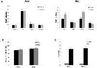 Figure 3:  TPQ-BRM has a similar functionality to wild type BRM. 