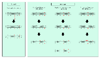 Figure 2:  Processing of uracils within genomic DNA.