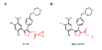Figure 1: Chemical structures of FS-93 and NVP-AUY922. 