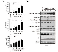 Figure 4:  FS-93 induces apoptosis in oncogene addicted cancer cells. 