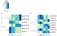 Figure 1:  Circadian disruption causes changes in miRNA expression in both the acute and chronic groups. 