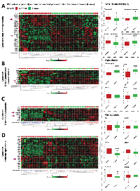 Figure 7:  Analysis of patient gene expression data suggests PDAC in vivo  sensitivity to ferroptotic signaling. 