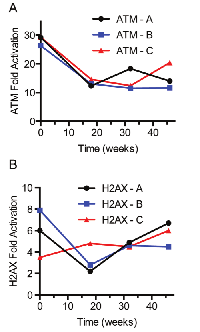 Figure 3:  Effect of storage time on protein fold activation. 