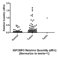 Figure 3: IGF2BP3 expression (dRn) in Colon tumor  tissue, normal tissue (adjacent to tumor) and in Placenta  (positive control).