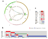 Figure 1: Amplification of key regulators of the TP53 and RB1 pathways are tied to EGFR and 2 other tyrosine kinase  amplification in Glioblastoma. (A) 