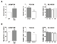 Figure 3:  Effect of Cav-1 expression in prostate cancer cells on LEC chemotaxis and chemokinesis. (A)  