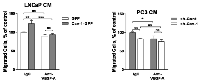 Figure 6:  Effect of anti-VEGF-A antibody on prostate cancer cell-conditioned media-induced LEC migration.