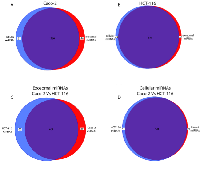 Figure 2: Comparison of miRNA sets found in exosomes and their source cells. 