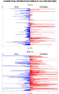 Figure  3:  Quantitative  asymmetric  distribution  of  miRNAs  in  CRC  cells  and  their  exosomes. 