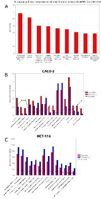 Figure 4:  Biological functions of exosomal miRNAs in CRC. 