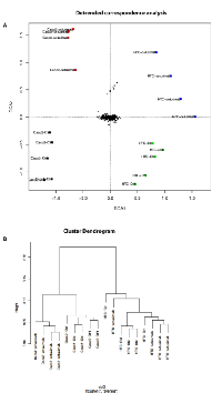 Figure  6:  Antibody  array  data  from  CRC  exosomes  after Cetuximab treatment. 