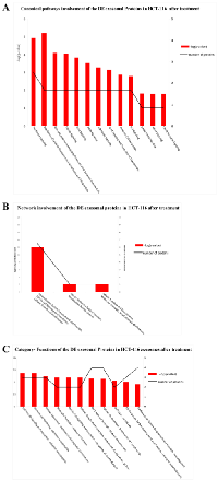 Figure 7:  Biological functions of DE exosomal proteins  in HCT-116. 