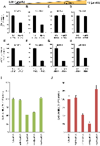 Figure 4:  HER3 knockdown leads to growth inhibition in TAK-285-sensitive cells but not in TAK-285-insensitive cells. 