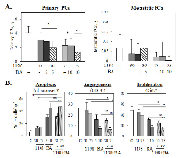 Figure 2:  1198 + BA inhibits TRAMP primary and metastatic PCa.  (A) 