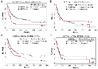 Figure 6:  Interdependent prognostic value of EFEMP1  and EGFR  expression levels for gliomas. 